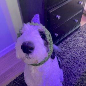 Crochet Spiked Dog Snood